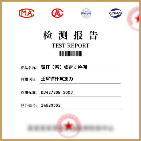 錨桿(索)鎖定力檢測(cè)